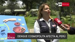 Dengue: virus tipo cosmopolita ingresa al Perú