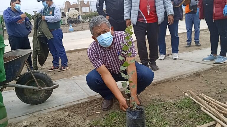 Sembrarán 1500 árboles para recuperar espacios públicos  en El Porvenir